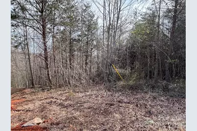 24 Katies Way, Nebo, NC 28761 - Photo 4