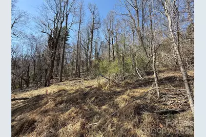 3 Fawn Turn Lane, Hendersonville, NC 28739 - Photo 10