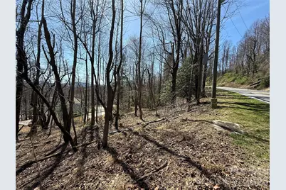 3 Fawn Turn Lane, Hendersonville, NC 28739 - Photo 12