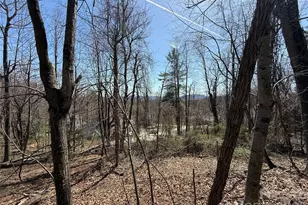 3 Fawn Turn Ln, Hendersonville, NC 28739 - Photo 1