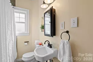 15 Conestee Pl, Asheville, NC 28801 - Photo 20