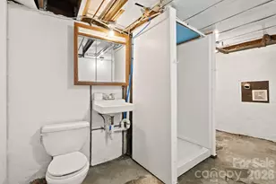 15 Conestee Pl, Asheville, NC 28801 - Photo 30