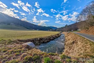 124 Shootout Ln, Burnsville, NC 28714 - Photo 4