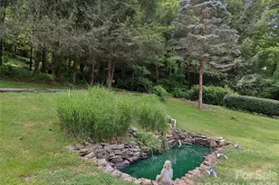 457 Shady Ridge Rd, Waynesville, NC 28785 - Photo 48