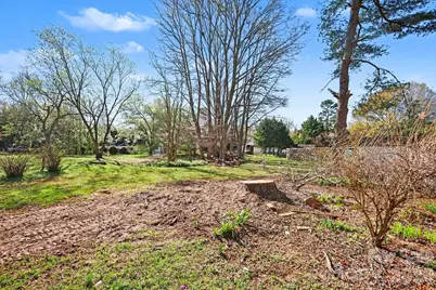 10116 Mountain Apple Drive, Mint Hill, NC 28227 - Photo 40