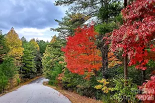 9147 Shortoff View Terrace, Nebo, NC 28761 - Photo 40