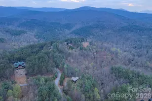 9147 Shortoff View Terrace, Nebo, NC 28761 - Photo 40