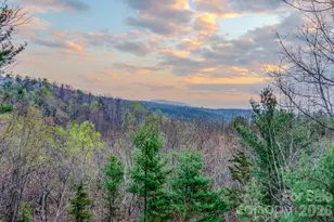 9147 Shortoff View Terrace, Nebo, NC 28761 - Photo 8
