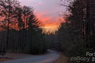 9147 Shortoff View Terrace, Nebo, NC 28761 - Photo 42