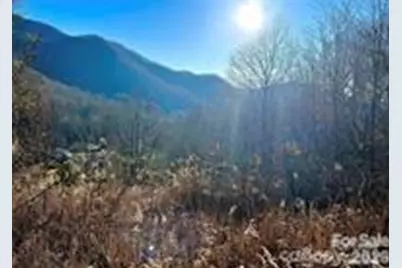 108 Lanning Road, Clyde, NC 28721 - Photo 8