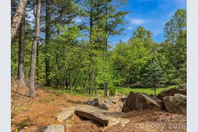 239 Senator Reynolds Road #31, Asheville, NC 28804 - Photo 32