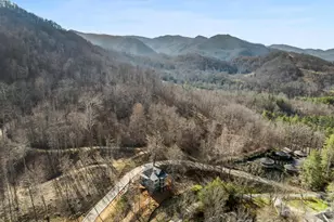 51 Bear Tree Cove, Canton, NC 28716 - Photo 16