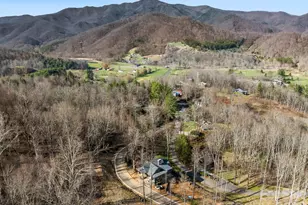 51 Bear Tree Cove, Canton, NC 28716 - Photo 16