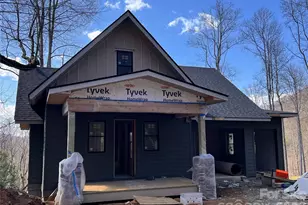 51 Bear Tree Cove, Canton, NC 28716 - Photo 6