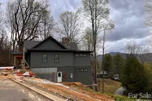 51 Bear Tree Cove, Canton, NC 28716 - Photo 20