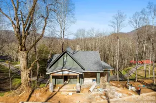 51 Bear Tree Cove, Canton, NC 28716 - Photo 14