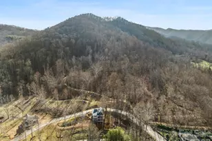 51 Bear Tree Cove, Canton, NC 28716 - Photo 14