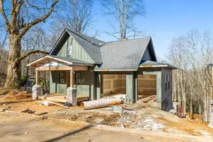 51 Bear Tree Cove, Canton, NC 28716 - Photo 14