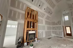 51 Bear Tree Cove, Canton, NC 28716 - Photo 24