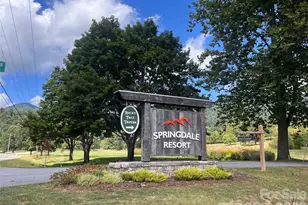 51 Bear Tree Cove, Canton, NC 28716 - Photo 28