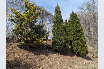 39 Jefferson Drive, Asheville, NC 28801 - Photo 6