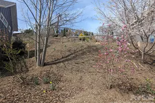 39 Jefferson Dr, Asheville, NC 28801 - Photo 1