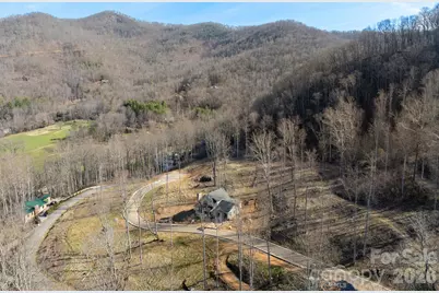 100 Bear Tree Cove, Canton, NC 28716 - Photo 16