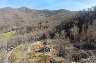 100 Bear Tree Cove, Canton, NC 28716 - Photo 16