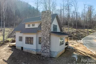 100 Bear Tree Cove, Canton, NC 28716 - Photo 14