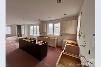 100 Bear Tree Cove, Canton, NC 28716 - Photo 30