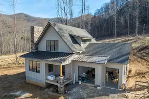 100 Bear Tree Cove, Canton, NC 28716 - Photo 16