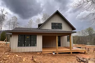 100 Bear Tree Cove, Canton, NC 28716 - Photo 22