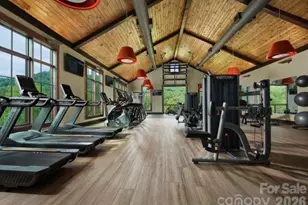 100 Bear Tree Cove, Canton, NC 28716 - Photo 6