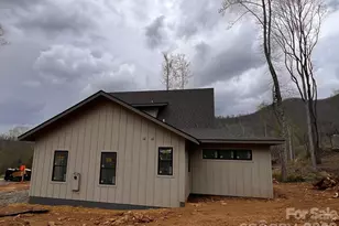 100 Bear Tree Cove, Canton, NC 28716 - Photo 24