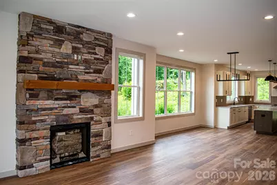 100 Bear Tree Cove, Canton, NC 28716 - Photo 4