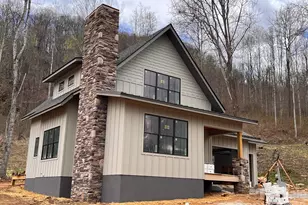 100 Bear Tree Cove, Canton, NC 28716 - Photo 20