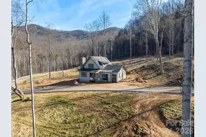 100 Bear Tree Cove, Canton, NC 28716 - Photo 18