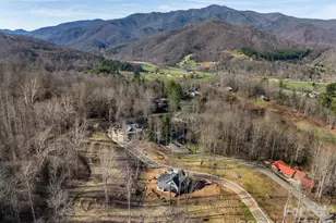 100 Bear Tree Cove, Canton, NC 28716 - Photo 8