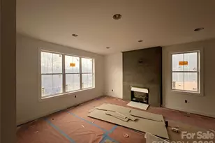 100 Bear Tree Cove, Canton, NC 28716 - Photo 4