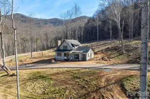 100 Bear Tree Cove, Canton, NC 28716 - Photo 24