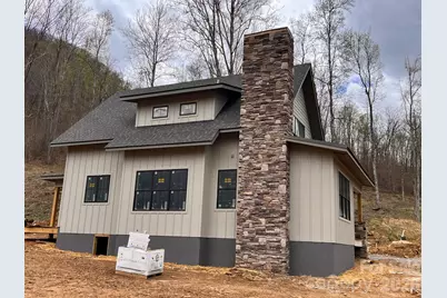 100 Bear Tree Cove, Canton, NC 28716 - Photo 20