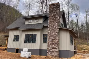 100 Bear Tree Cove, Canton, NC 28716 - Photo 20