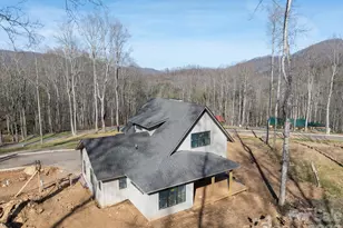 100 Bear Tree Cove, Canton, NC 28716 - Photo 12