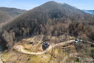 100 Bear Tree Cove, Canton, NC 28716 - Photo 8