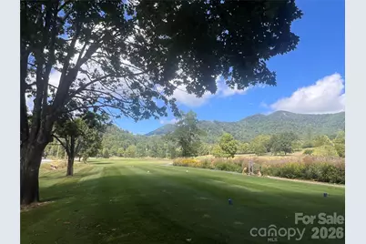 100 Bear Tree Cove, Canton, NC 28716 - Photo 40