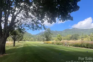 100 Bear Tree Cove, Canton, NC 28716 - Photo 40