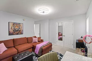 311 Alabarda Ln, Charlotte, NC 28273 - Photo 10