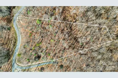 99 Spring Song Lane #9, Fletcher, NC 28732 - Photo 2