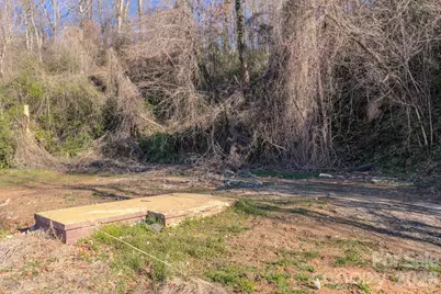 16 Governors View Road, Asheville, NC 28805 - Photo 6