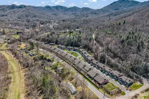 518 Sweet Birch Park Ln, Black Mountain, NC 28711 - Photo 46